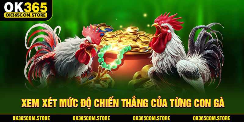 Xem xét mức độ chiến thắng của từng con gà